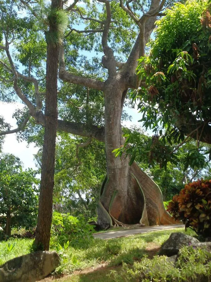 Villa Fleur De Lune Bouillante 0*,  Guadeloupe