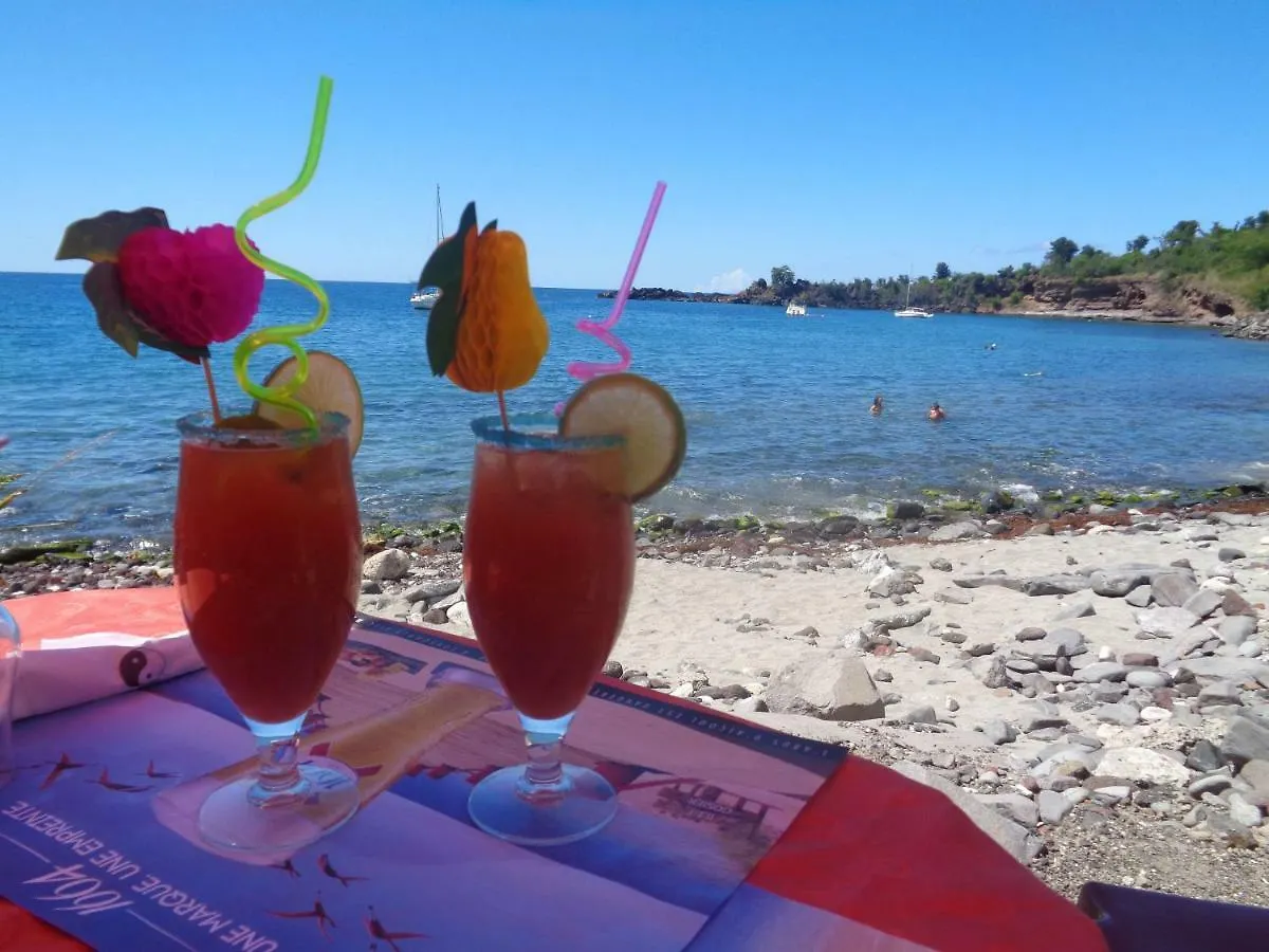 Villa Fleur De Lune بويانت بيت للعطل